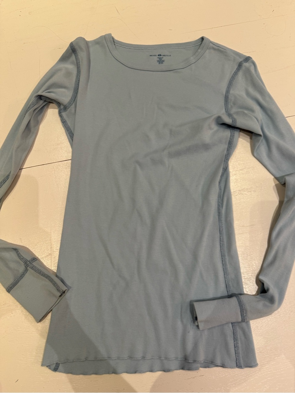 Brandy Melville Light Blue Long Sleeve Crewneck Top